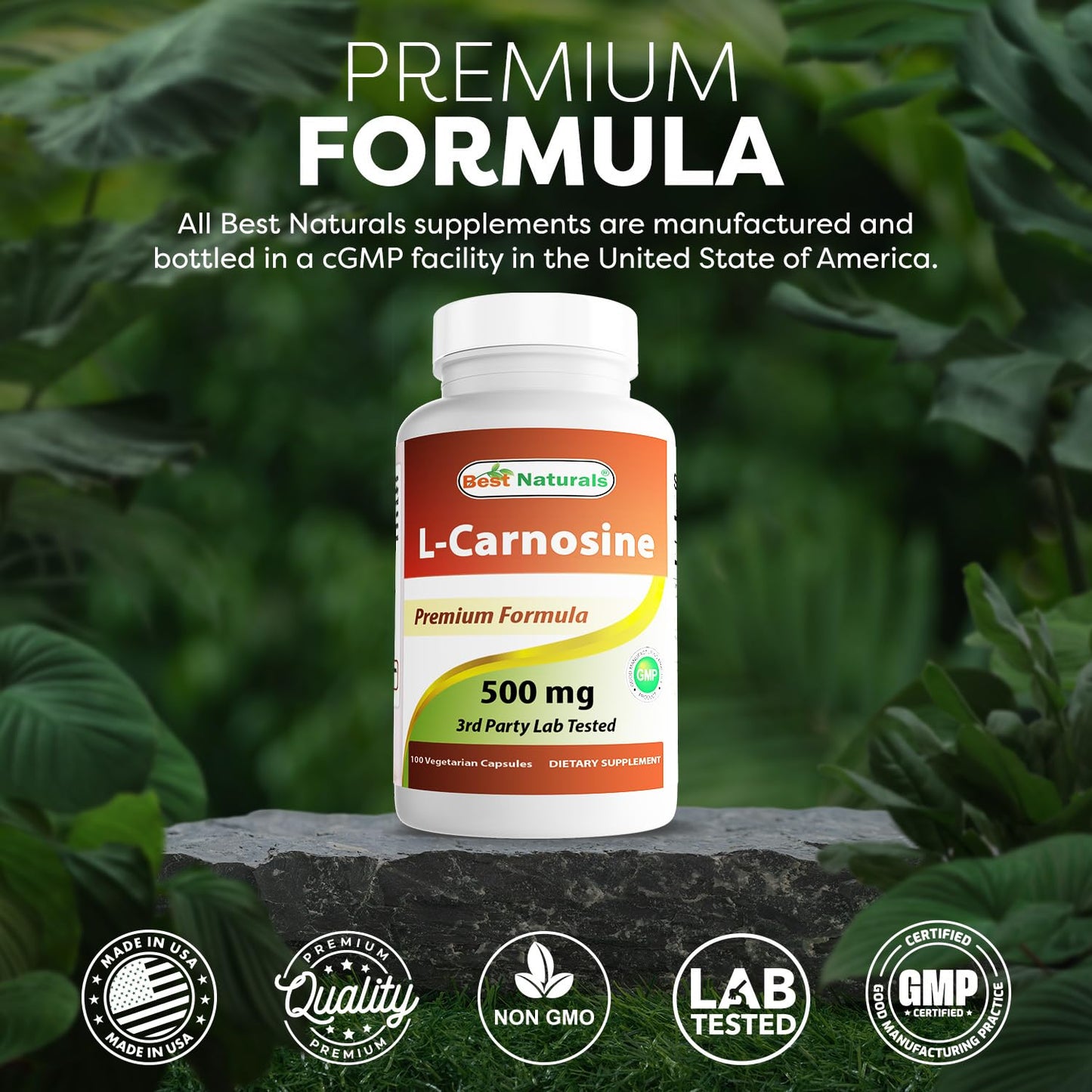 Best Naturals L-Carnosine 500 mg – 100 Vcaps (Pack of 3)