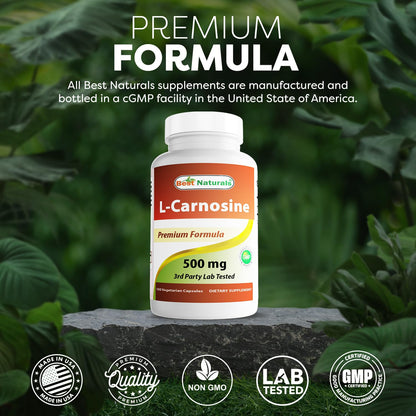Best Naturals L-Carnosine 500 mg – 100 Vcaps (Pack of 3)