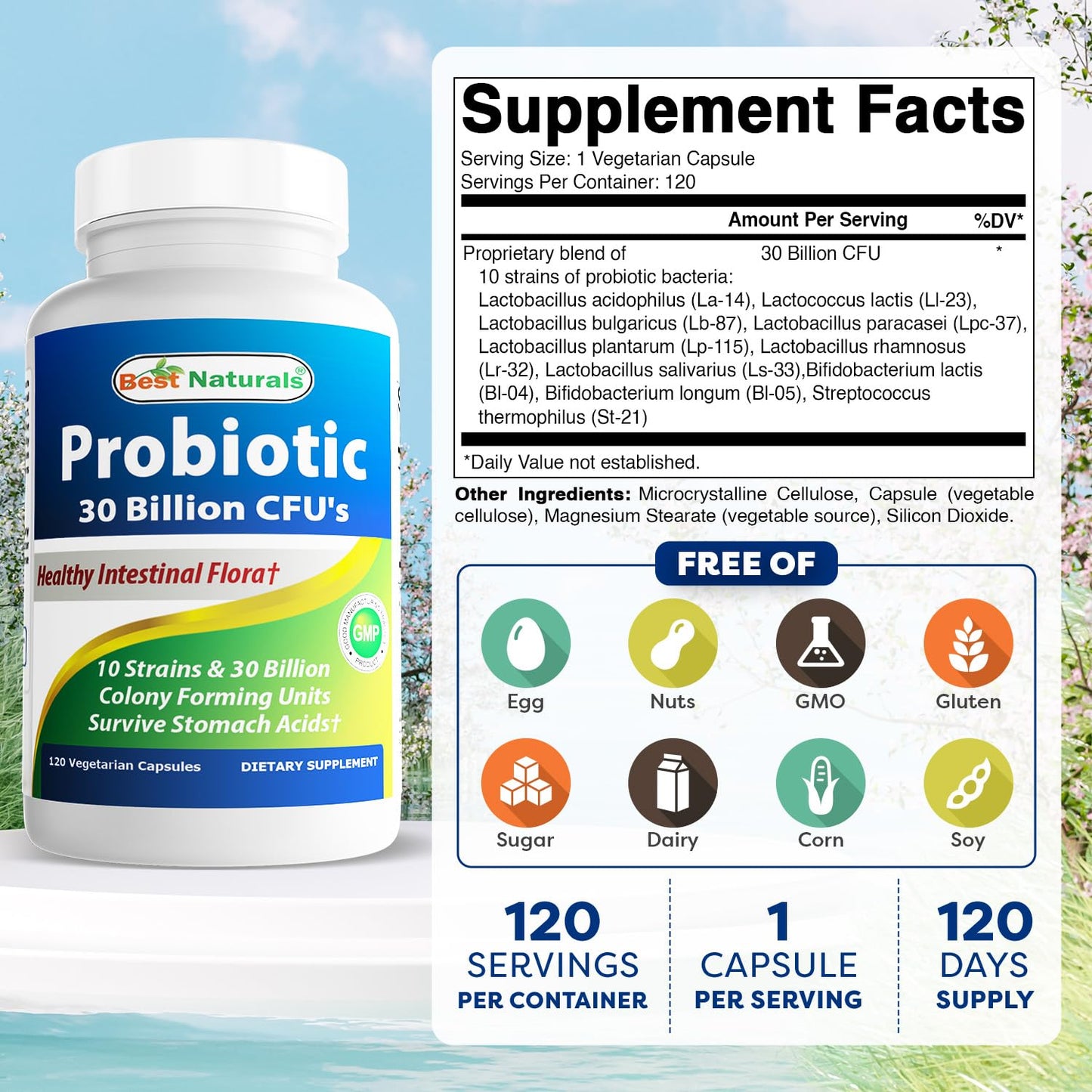 Best Naturals Probiotic 10 Strains - 30B CFU, Shelf-Stable, 120 Veggie Caps (2-Pack)