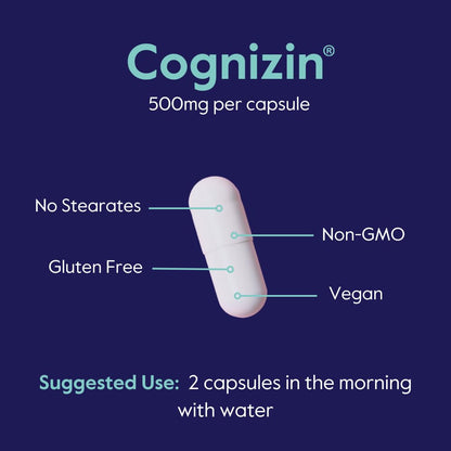 BESTVITE Cognizin Citicoline 500mg – 120 Vegetarian Capsules | Premium Nootropic