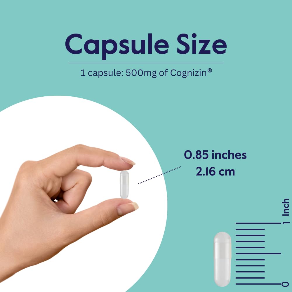 BESTVITE Cognizin Citicoline 500mg – 120 Vegetarian Capsules | Premium Nootropic