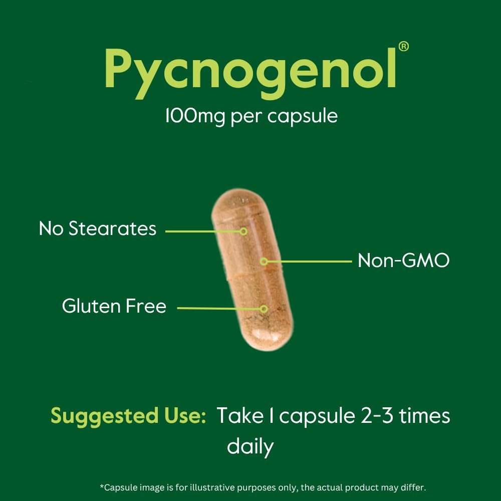 BESTVITE Pycnogenol 100mg (60 Capsules) – French Maritime Pine Bark Extract – Gluten Free, Non-GMO, No Stearates