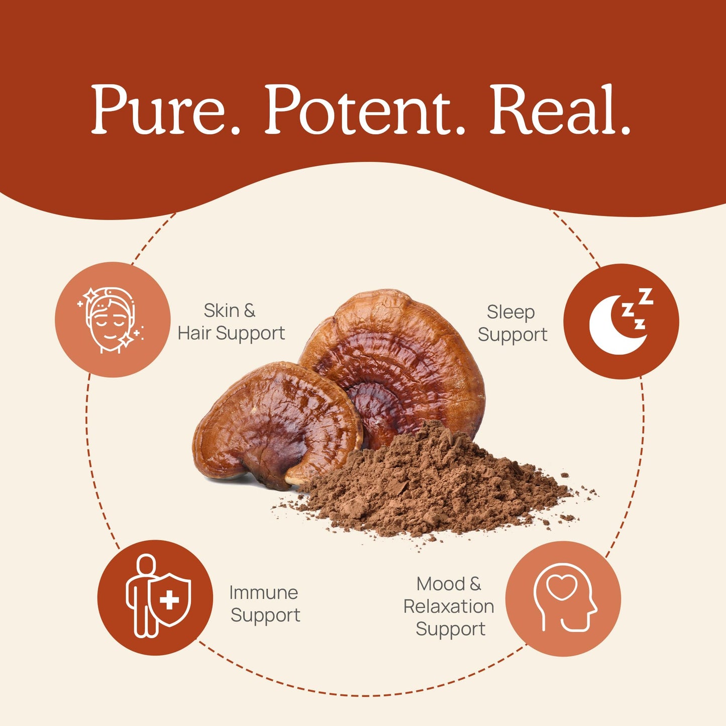 Real Mushrooms Reishi Powder – Organic Red Reishi Extract, 45 Servings, Beta-Glucans