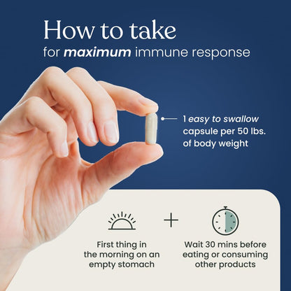 Better Way Health™ Advanced Immune Readiness — Beta Glucan 500 (Pack of 3)