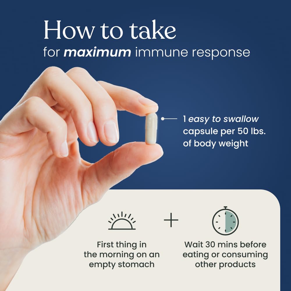 Better Way Health Advanced Immune Readiness Beta Glucan 500 — 500mg, 60 Capsules (Pack of 2)