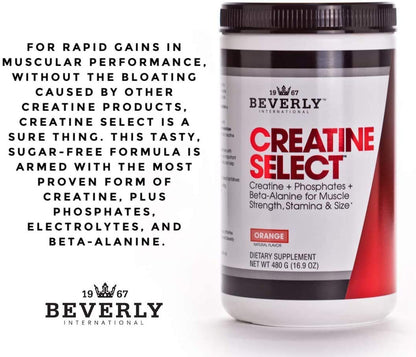 Beverly International Creatine Select with Phosphates — 40 Servings | Sugar-Free, Tang-Style Orange Flavor