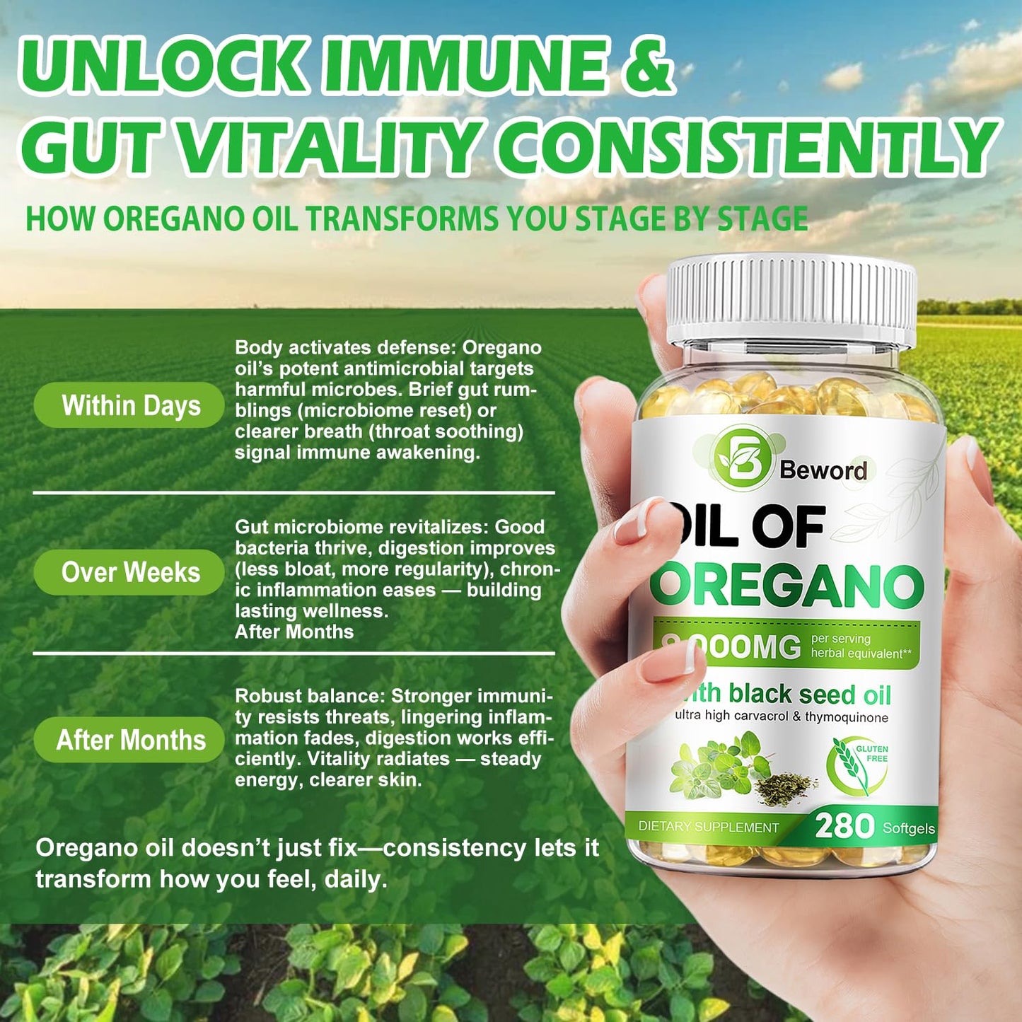 BEWORD Oil of Oregano 840 Softgels – 2-in-1 Oregano & Black Seed Oil for Immune & Antioxidant Support | Plant-Based, Non-GMO | 3-Pack