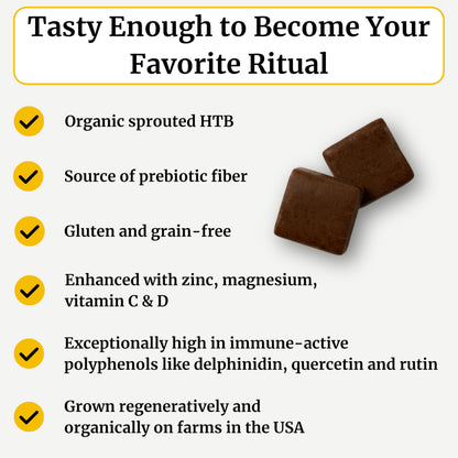 BIG BOLD HEALTH HTB Immune Energy Chews – Organic Tartary Buckwheat, Chocolate Flavor, Zinc & Vitamins (60 Chews)