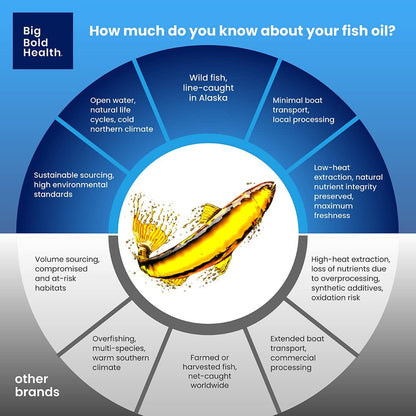 BIG BOLD HEALTH Omega-3 Rejuvenate – Wild Alaskan Fish Oil with PRMs (EPA, DHA, DPA) & Vitamins A & D (120 Softgels)