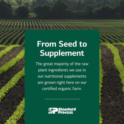 Bio-Dent Skeletal Health Dietary Supplement – 800 Tablets | Standard Process