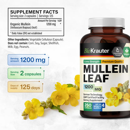 BIO KRAUTER Mullein Capsules 1200 mg - 250 Veg Capsules for Lungs