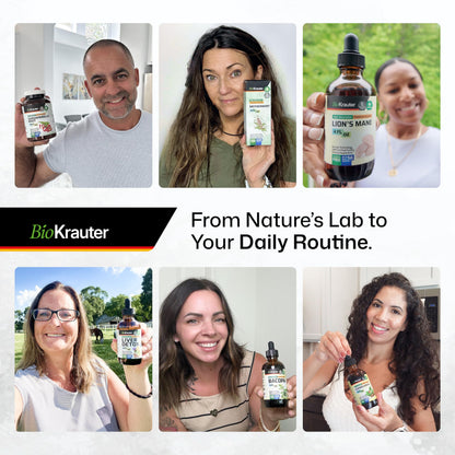 BIO KRAUTER Stinging Nettle Capsules 1200 mg – 250 Urinary Tract & Overall Support Caps – Nettle Root Powder (Urtica Dioica) – Non-GMO – Pack of 2