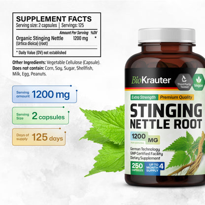 BIO KRAUTER Stinging Nettle Capsules 1200 mg – 250 Urinary Tract & Overall Support Caps – Nettle Root Powder (Urtica Dioica) – Non-GMO – Pack of 2