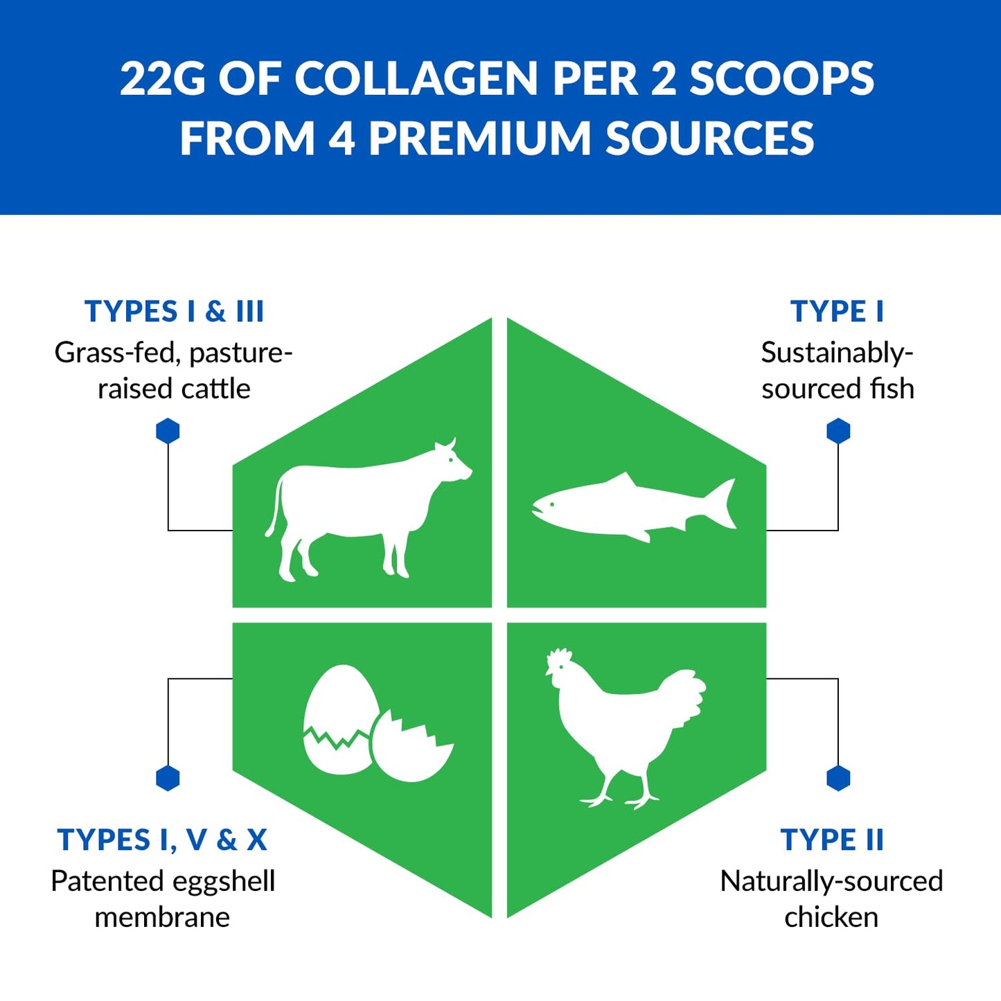 BioTrust Collagen Powder with Turmeric – 5 Types (I, II, III, V, X) Golden Milk