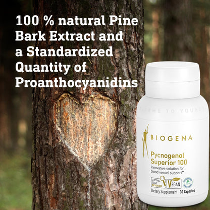Biogena Pycnogenol 100 mg Gold – Pine Bark Extract for Blood Circulation