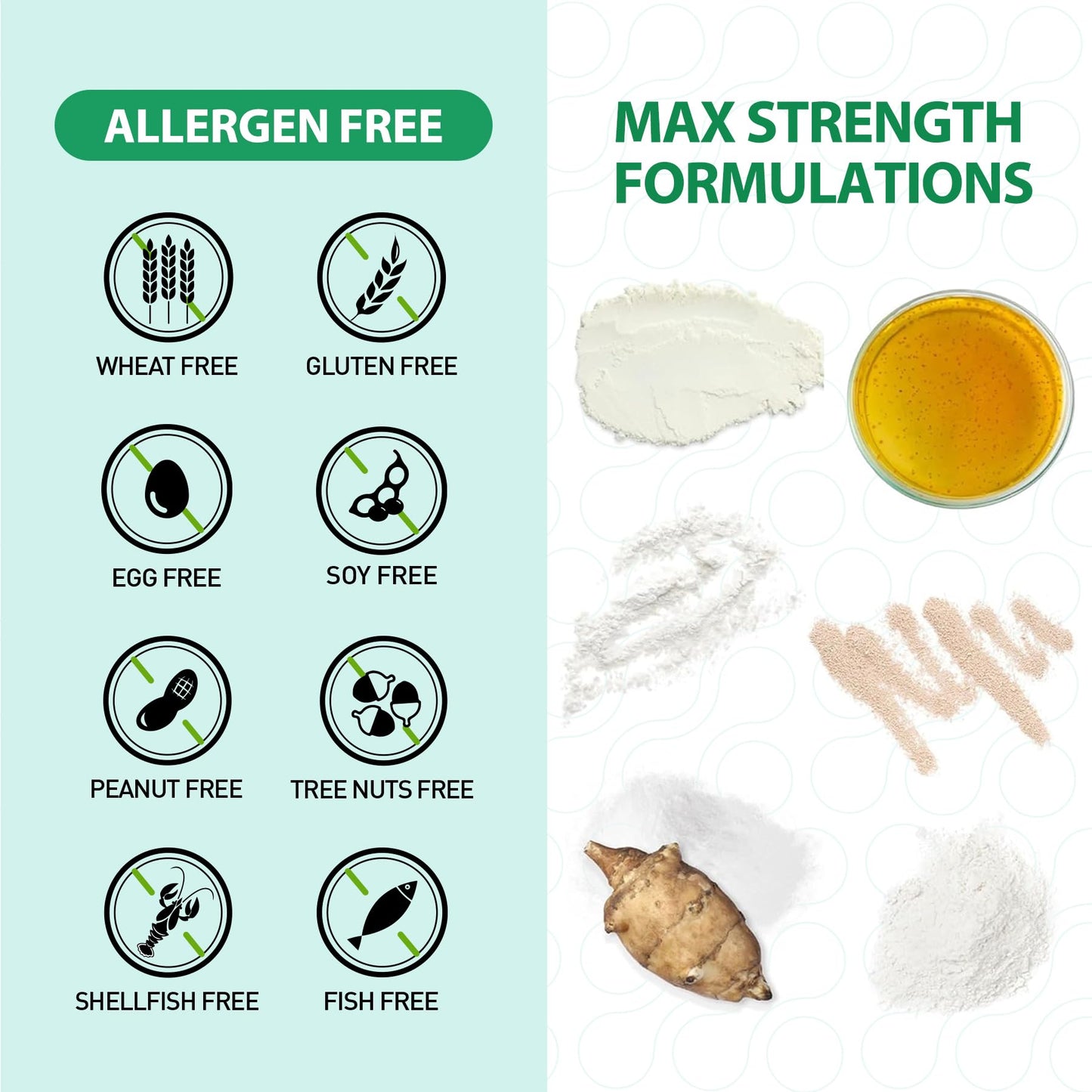 BioJhchang Probiotics 60B CFUs | 11 Strains for Immune & Digestive Health