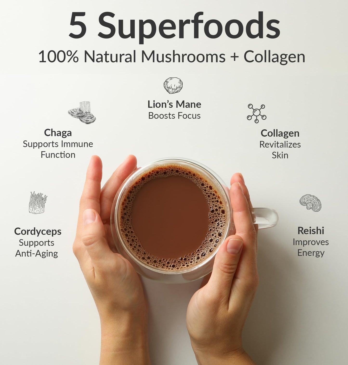 BIOptimizers Mushroom Coffee Alternative – Chocolate with Lion’s Mane, Chaga & Reishi + Collagen Peptides for Focus, Energy & Gut Health – Adaptogenic Mushrooms & MCT Powder – 30 Servings