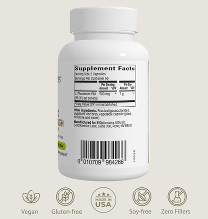 BIOptimizers Probiotic Breakthrough – Lactobacillus Plantarum OM Probiotics & Prebiotics for Gut Health, Digestion & Immunity – 120 Vegan Capsules