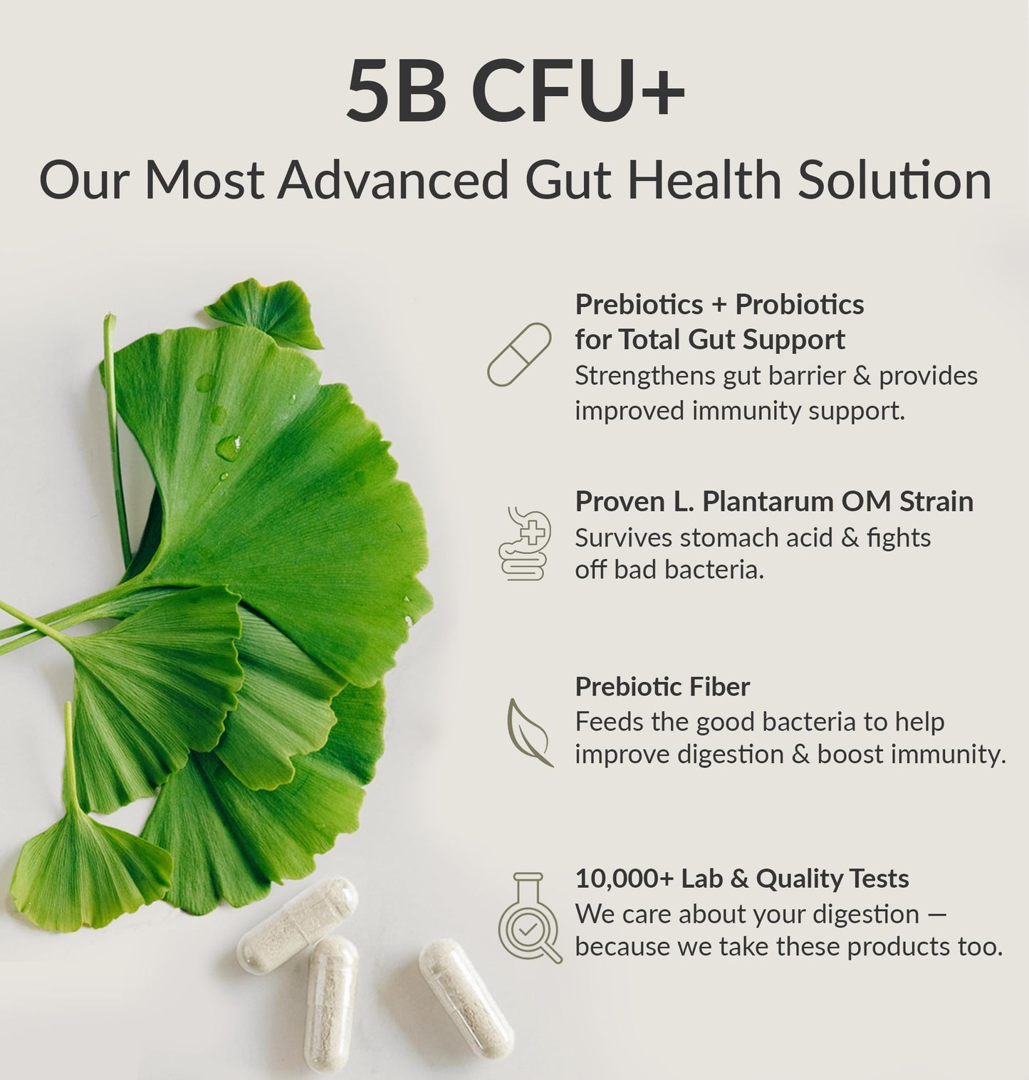 BIOptimizers Probiotic Breakthrough – Lactobacillus Plantarum OM Probiotics & Prebiotics for Gut Health, Digestion & Immunity – 120 Vegan Capsules