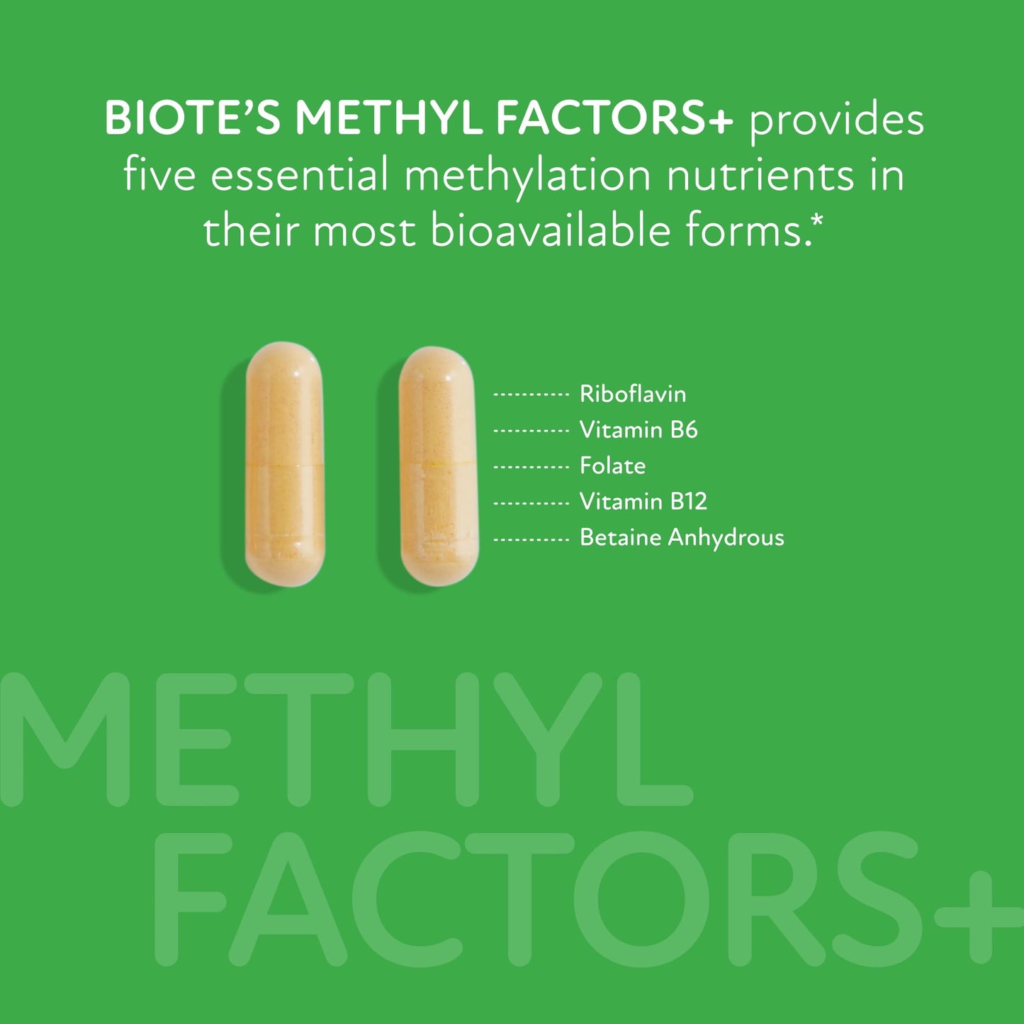 Biote Methyl Factors+ – Circulation + Mood, 90 Capsules