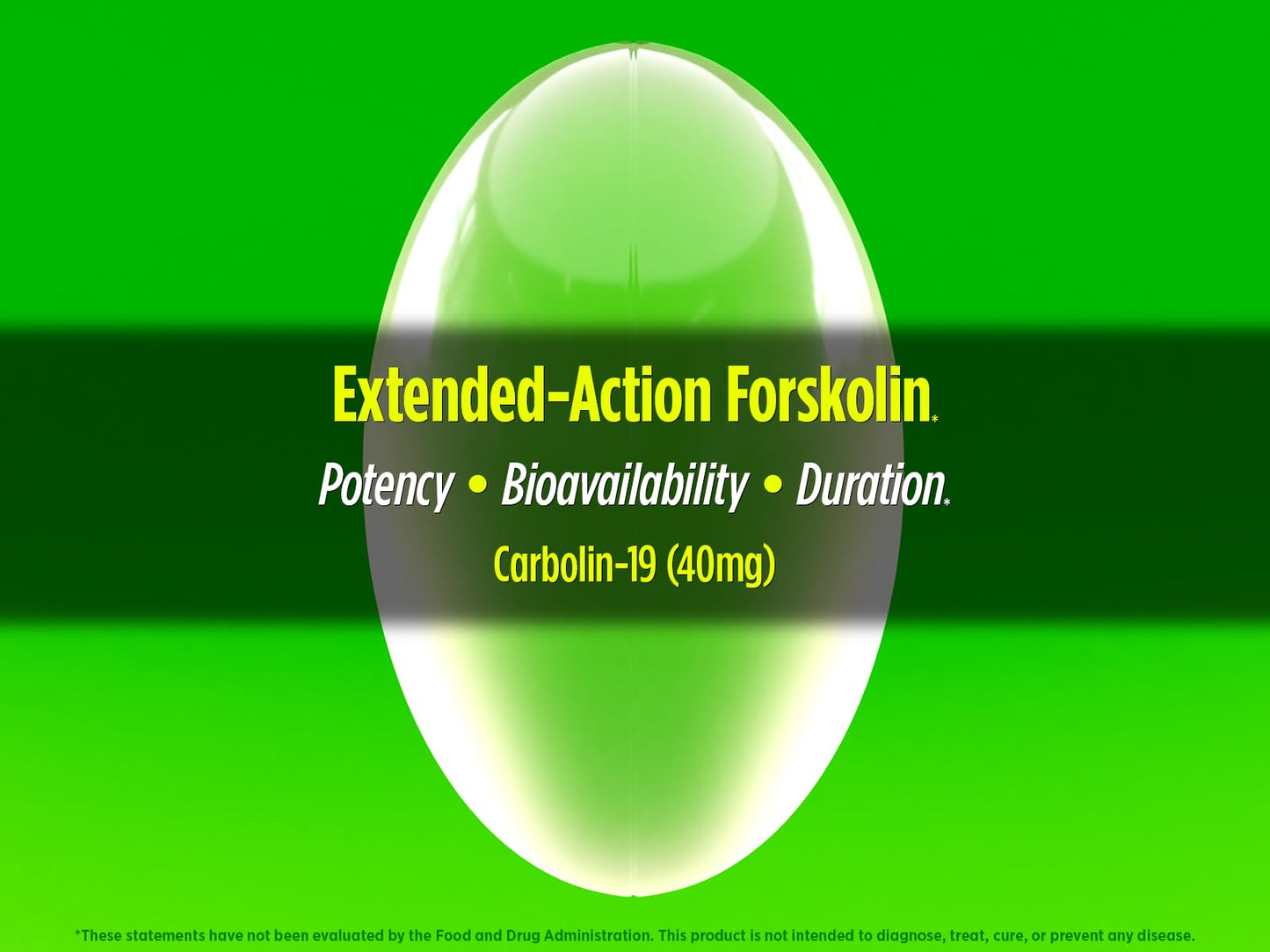 Biotest Carbolin 19 – Long-Lasting Forskolin for Fat Metabolism & Performance, 60 Softgels