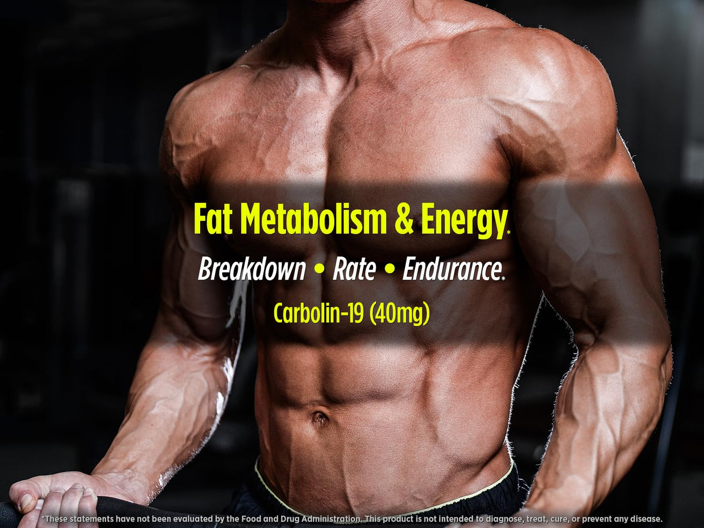 Biotest Carbolin 19 – Long-Lasting Forskolin for Fat Metabolism & Performance, 60 Softgels