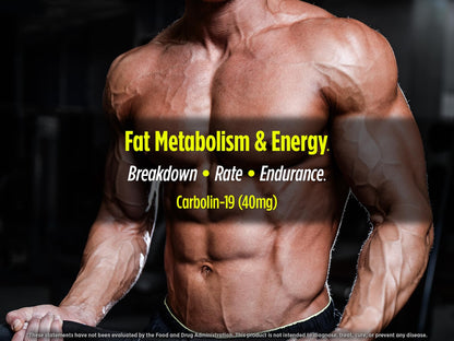 Biotest Carbolin 19 – Long-Lasting Forskolin for Fat Metabolism & Performance, 60 Softgels