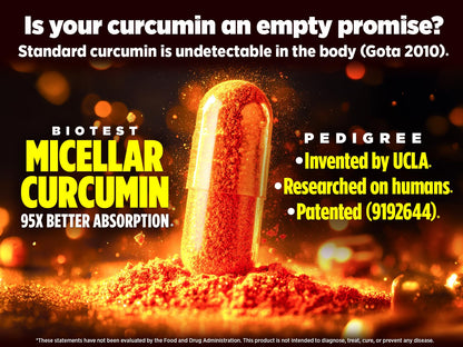 Biotest Micellar Curcumin – 95x Absorption, UCLA-Invented & Patented, 60 Capsules