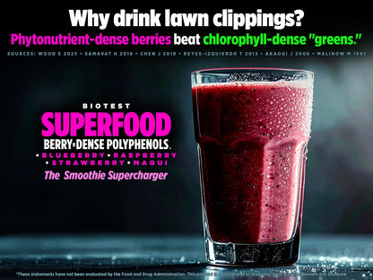 Biotest Superfood Berry-Dense Polyphenols – Blueberry, Raspberry, Strawberry & Maqui (30 Servings)