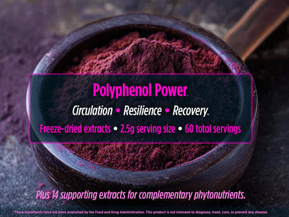 Biotest Superfood Berry-Dense Polyphenols – Blueberry, Raspberry, Strawberry & Maqui (30 Servings)
