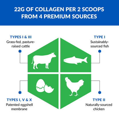 BioTrust Ageless Multi Collagen Peptides Powder – 5 Types I II III V X – Unflavored, 10 g Bioactive Protein, Grass-Fed, 2-pack