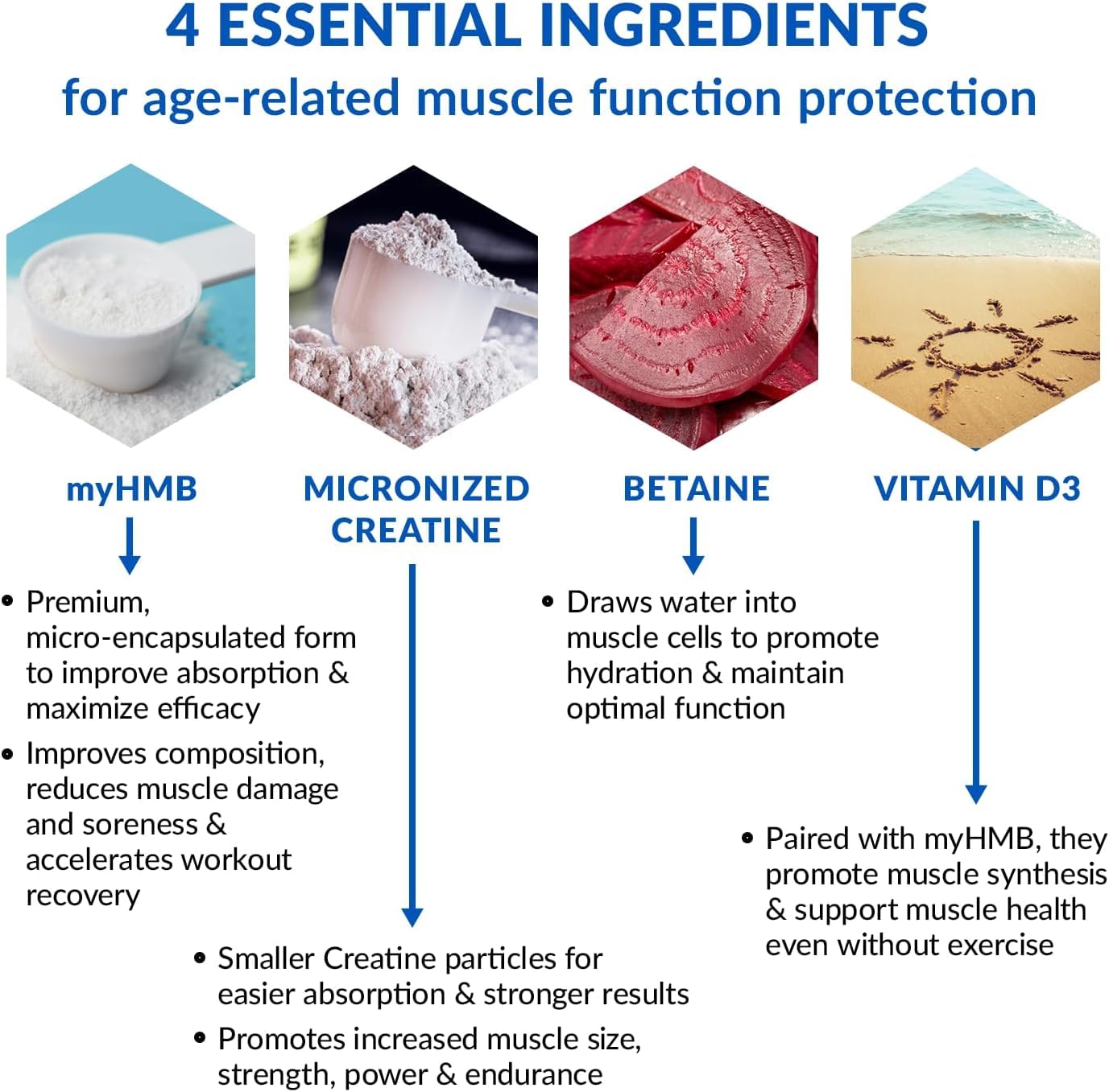 BioTrust Ageless Muscle Builder - Creatine HMB Powder with Vitamin D3 & Betaine | Build & Preserve Muscle Mass Naturally Declining with Age - Fruit Punch, 60 Servings