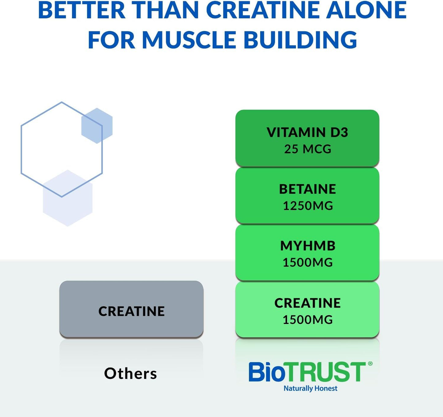 BioTrust Ageless Muscle Builder - Creatine HMB Powder with Vitamin D3 & Betaine | Build & Preserve Muscle Mass Naturally Declining with Age - Fruit Punch, 60 Servings