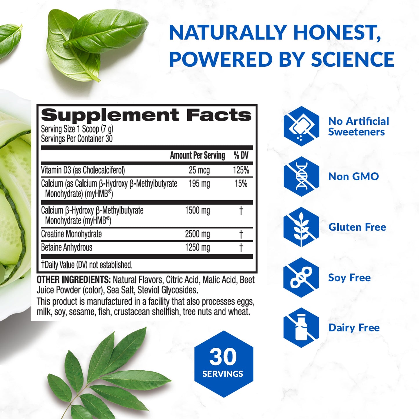 BioTrust Ageless Muscle Builder - Creatine HMB Powder with Vitamin D3 & Betaine | Build & Preserve Muscle Mass Naturally Declining with Age - Fruit Punch, 60 Servings