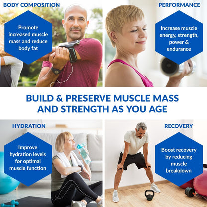 BioTrust Ageless Muscle Builder - Creatine HMB Powder with Vitamin D3 & Betaine | Build & Preserve Muscle Mass Naturally Declining with Age - Fruit Punch, 60 Servings