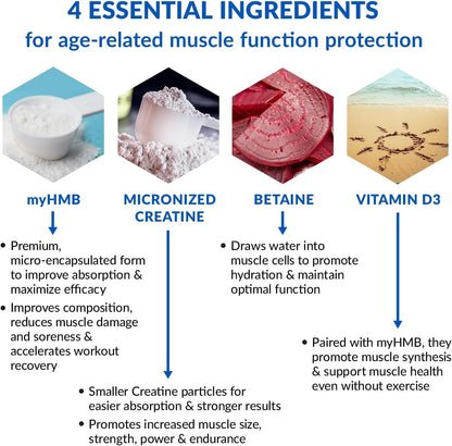 BioTrust Ageless Muscle Builder - Creatine HMB Powder with Vitamin D3 & Betaine | Build & Preserve Muscle Mass Naturally Declining with Age - Fruit Punch, 60 Servings