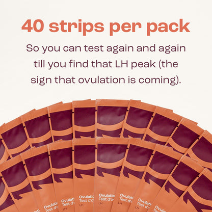 Bird&Be Ovulation Test Strips – 40 LH Predictor Kit, 99% Accurate