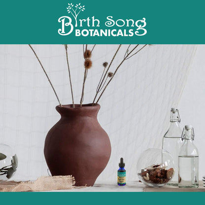 Birth Song Botanicals Children's Respiratory Support Tincture with Elderberry | Immune Support for Kids 1oz