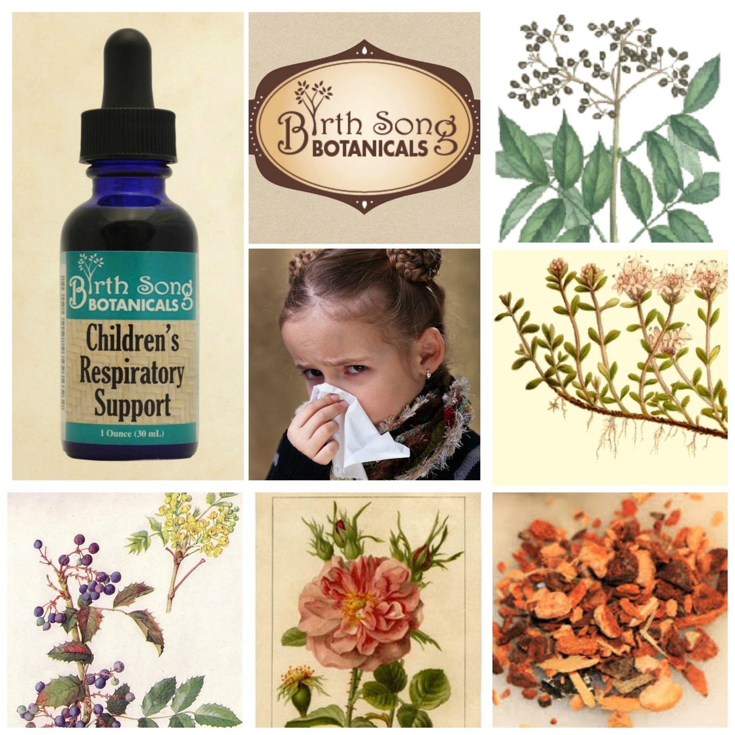 Birth Song Botanicals Children's Respiratory Support Tincture with Elderberry | Immune Support for Kids 1oz