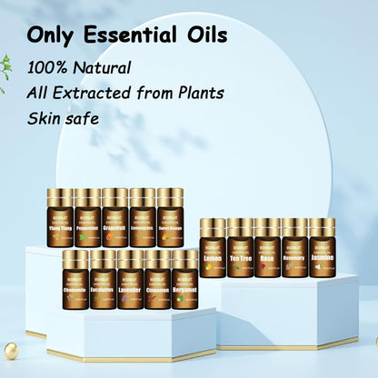 BISIRBAT 15-Pcs Essential Oil Set for Diffusers - 15 x 5ml | Aromatherapy