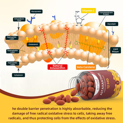 BIYODE Astaxanthin 12mg Softgels – High Potency Antioxidant (90 Softgels)