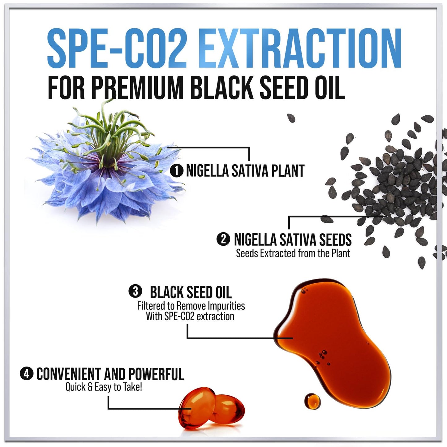 Black Seed Oil Softgels 1000mg - Premium Nigella Sativa Blackseed, Immune Support & Skin Health