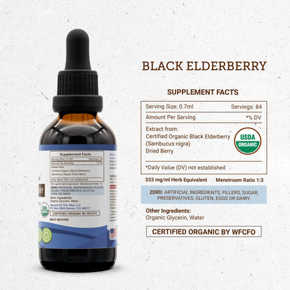 Black Elderberry USDA Organic Tincture | Alcohol-Free, High-Potency Herbal Drops (2 oz)