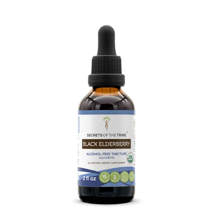 Black Elderberry USDA Organic Tincture | Alcohol-Free, High-Potency Herbal Drops (2 oz)