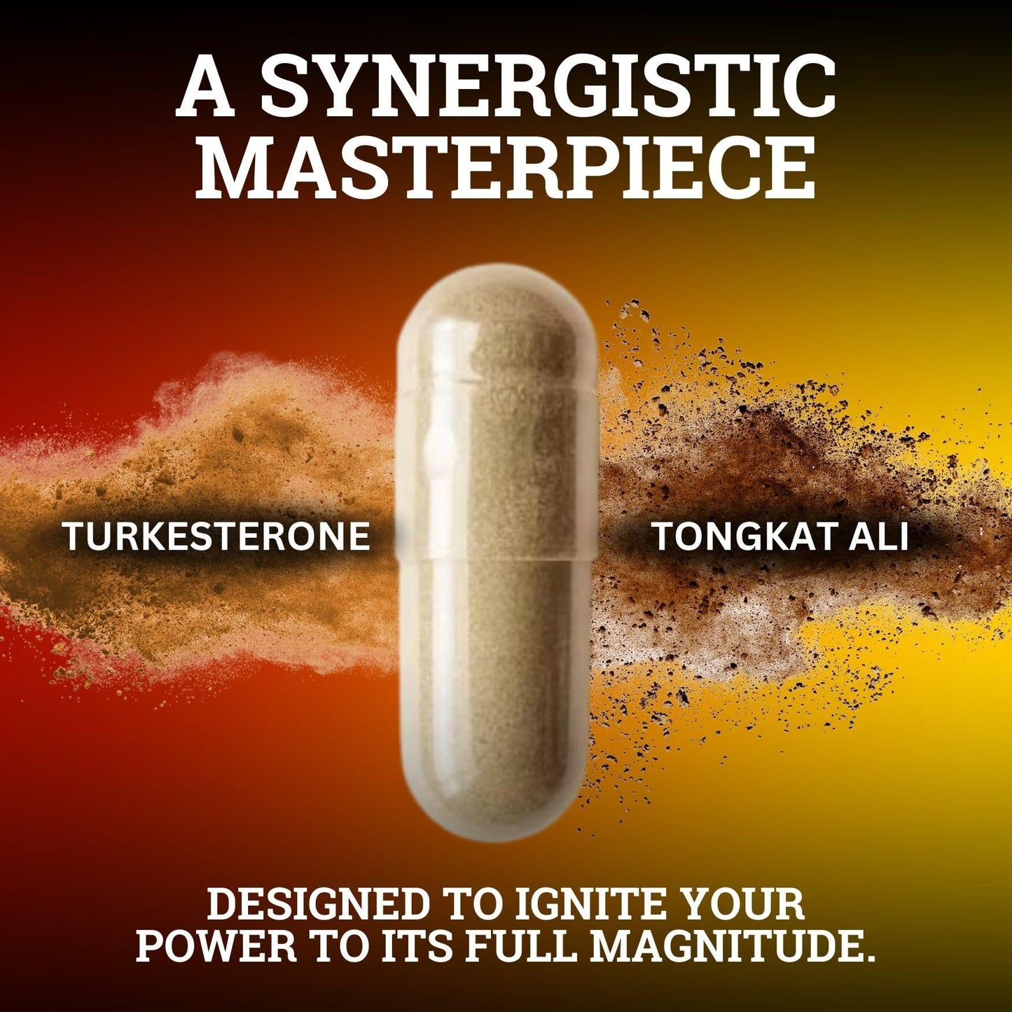 Black Forest Turkesterone Tongkat Ali Supplement 1000mg per Serving | Strength & Energy for Men