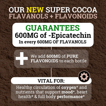 Black Forest High Flavanol Cocoa Powder — 1200mg Flavanols & 600mg Epicatechin