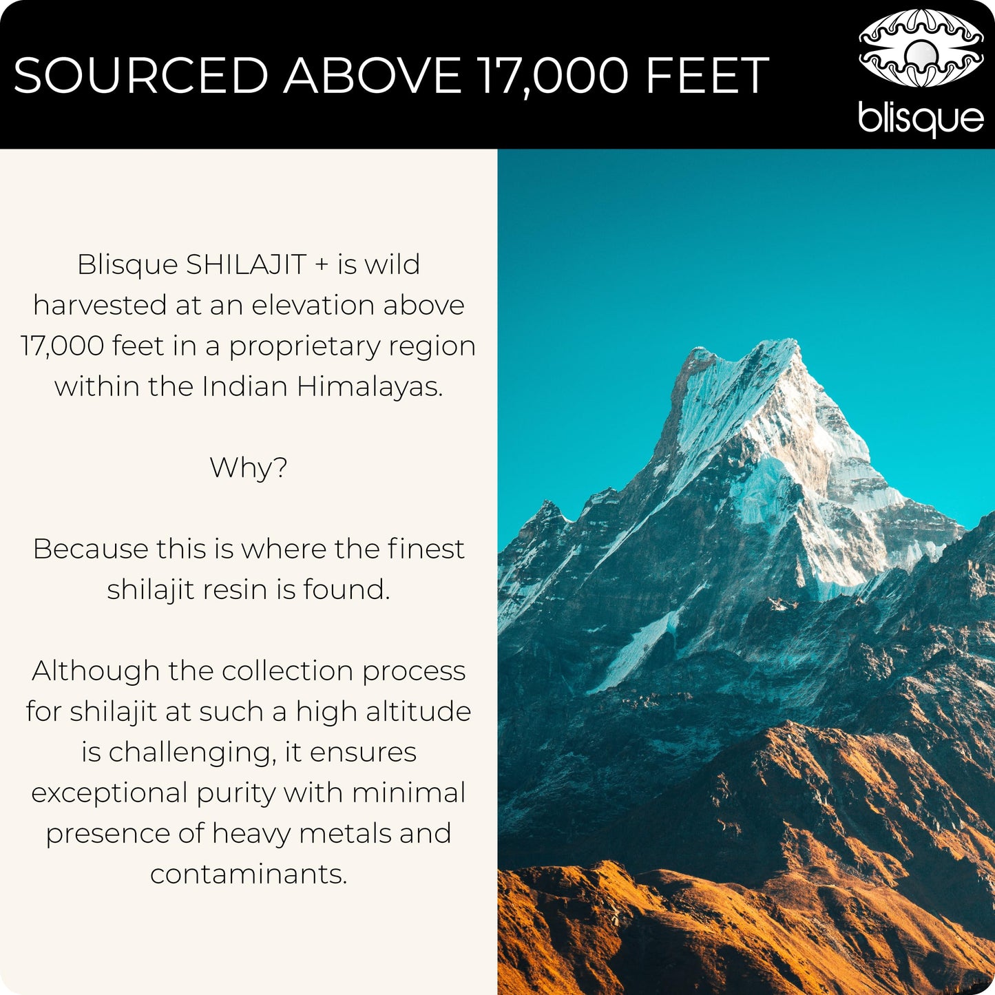 Blisque Shilajit Resin – Pure Himalayan Golden Grade A, Fulvic Acid & 85+ Minerals | 60 g