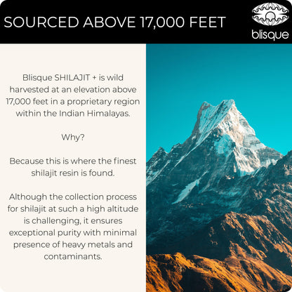 Blisque Shilajit Resin – Pure Himalayan Golden Grade A, Fulvic Acid & 85+ Minerals | 60 g