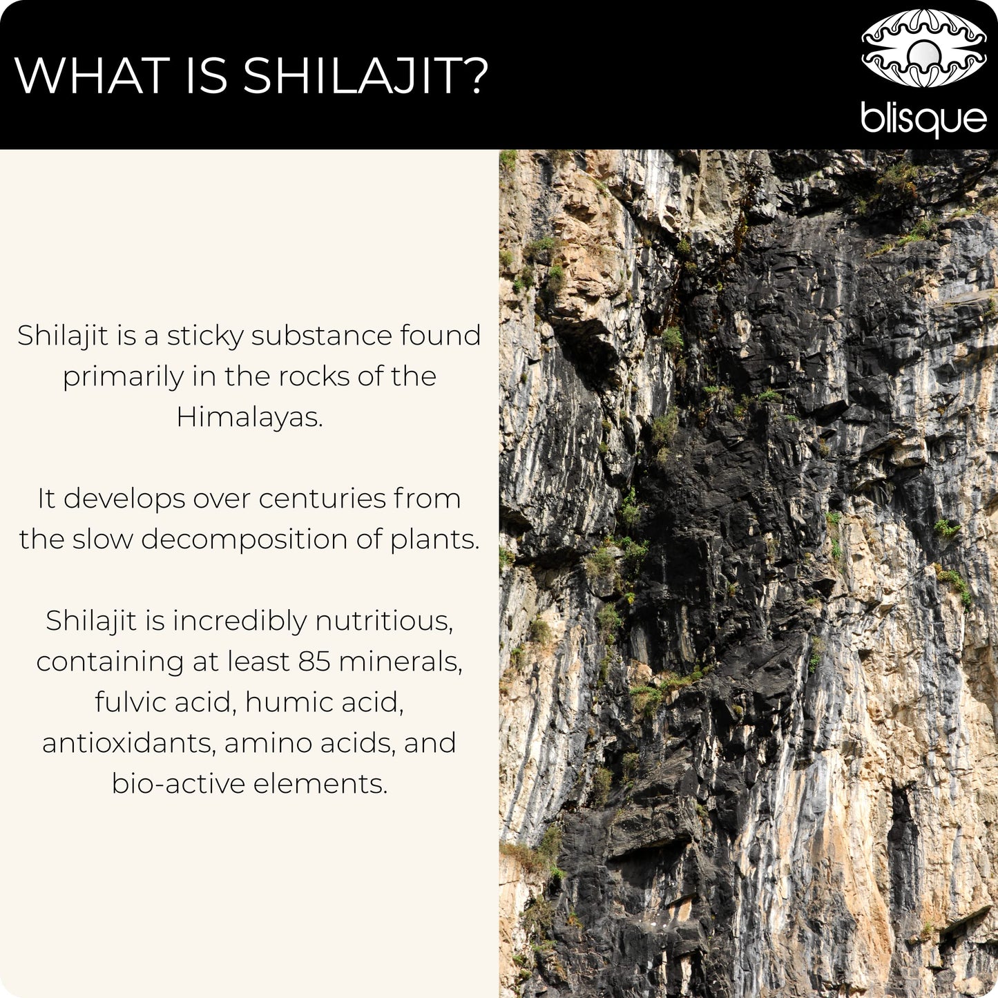 Blisque Shilajit Resin – Pure Himalayan Golden Grade A, Fulvic Acid & 85+ Minerals | 60 g