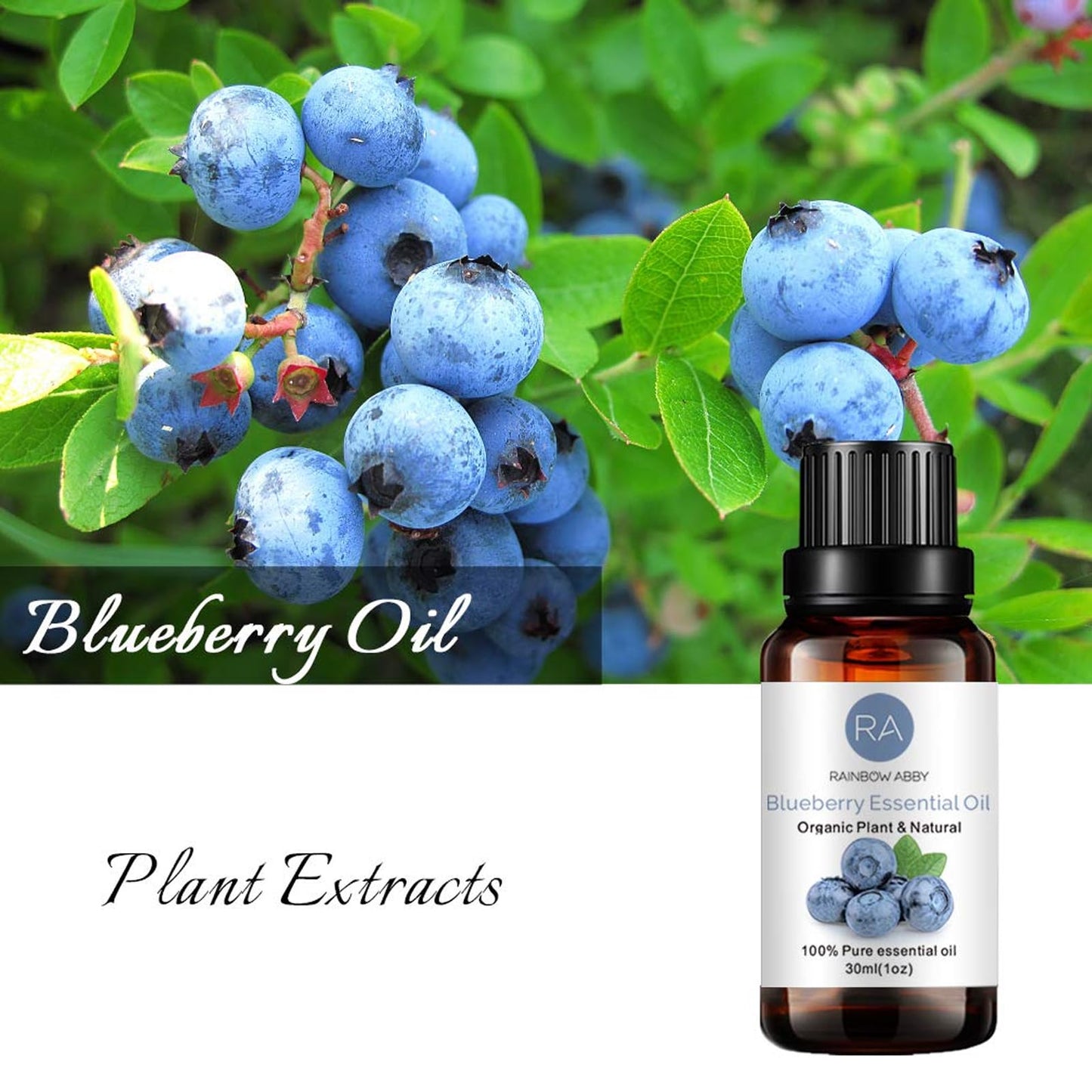 Blueberry Essential Oil (30ML) – 100% Pure & Natural | Rainbow Abby